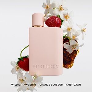 Burberry Blush Pink Perfume with Floral Accents